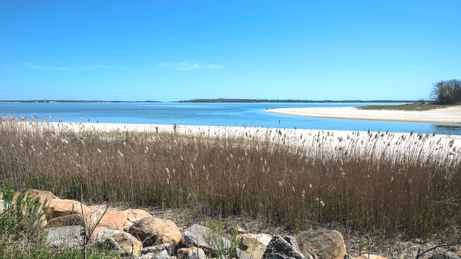 North Forth Fork Homes With Beach Rights